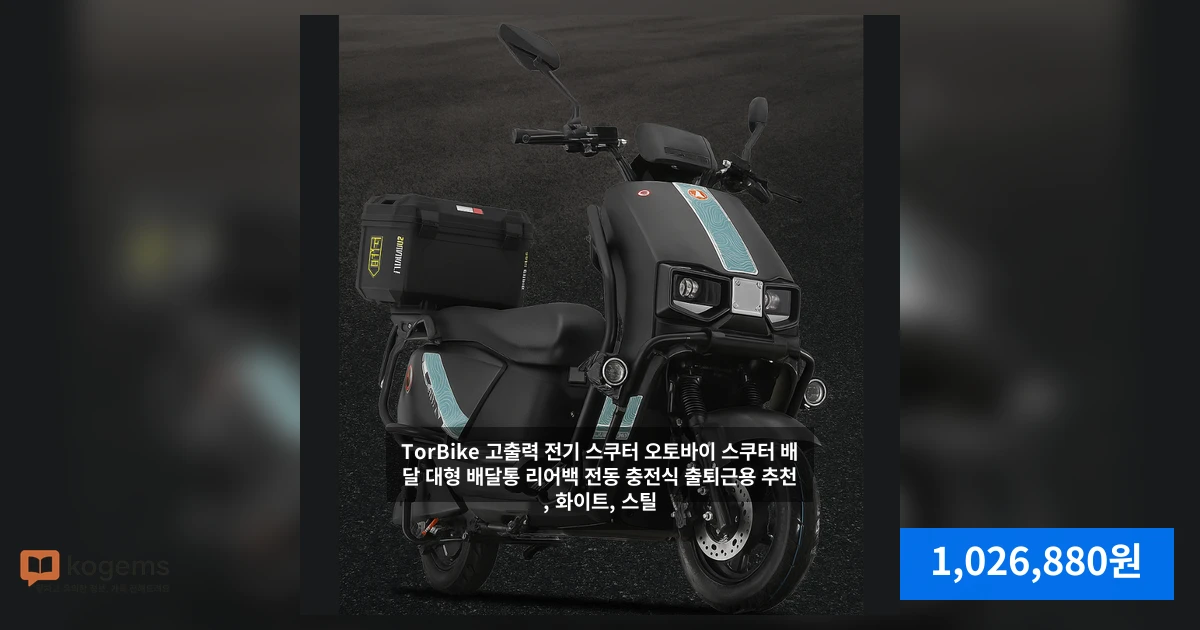 TorBike 고출력 전기 스쿠터 오토바이 스쿠터 배달 대형 배달통 리어백 전동 충전식 출퇴근용 추천, 화이트, 스틸